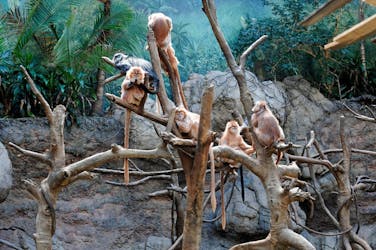 Admission tickets for Bronx Zoo in New York